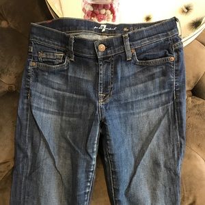 7 For All Mankind The Skinny